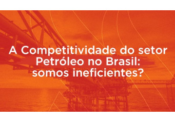 A Competitividade do setor Petróleo no Brasil: somos ineficientes?