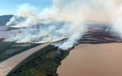 Em 2020 Brasil bate recorde de queimadas em uma década